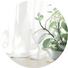 インテリア商品販売<br>（カーテン・カーペット等）